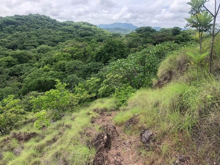 ll2100193_img-9_large-min