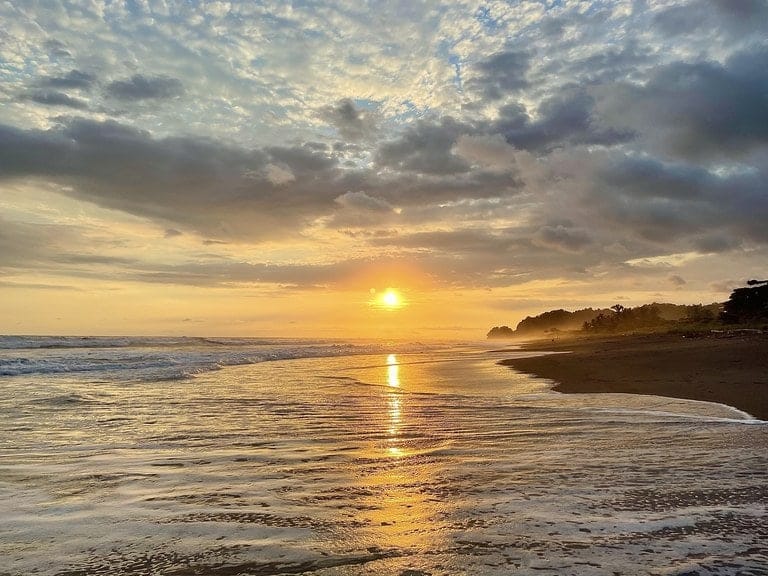 ll2100247_img-7_large-min