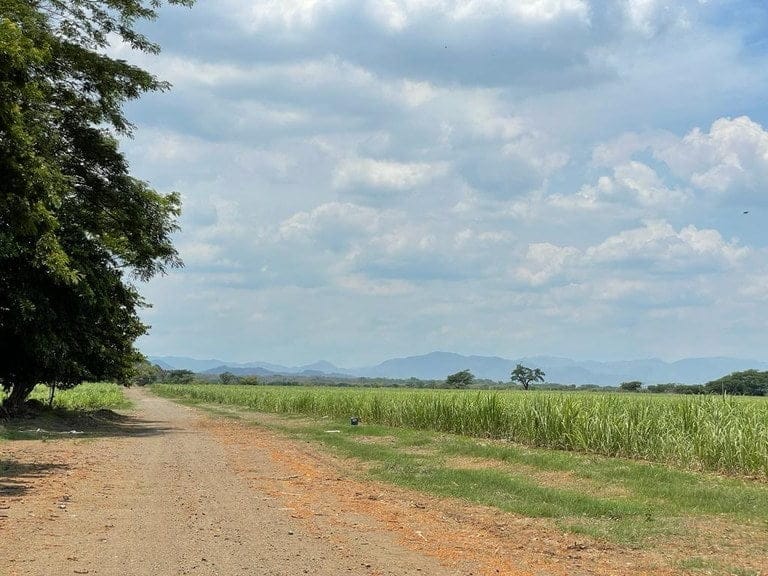 ll2100313_img-10_large-min