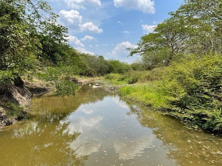 ll2100313_img-14_large-min