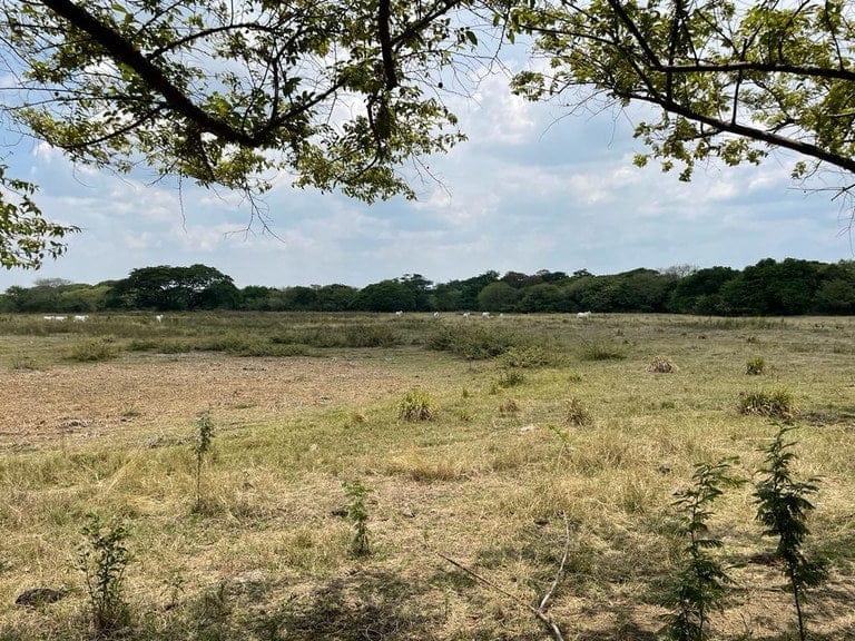 ll2100313_img-15_large-min