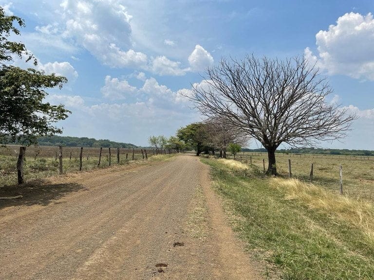 ll2100313_img-19_large-min