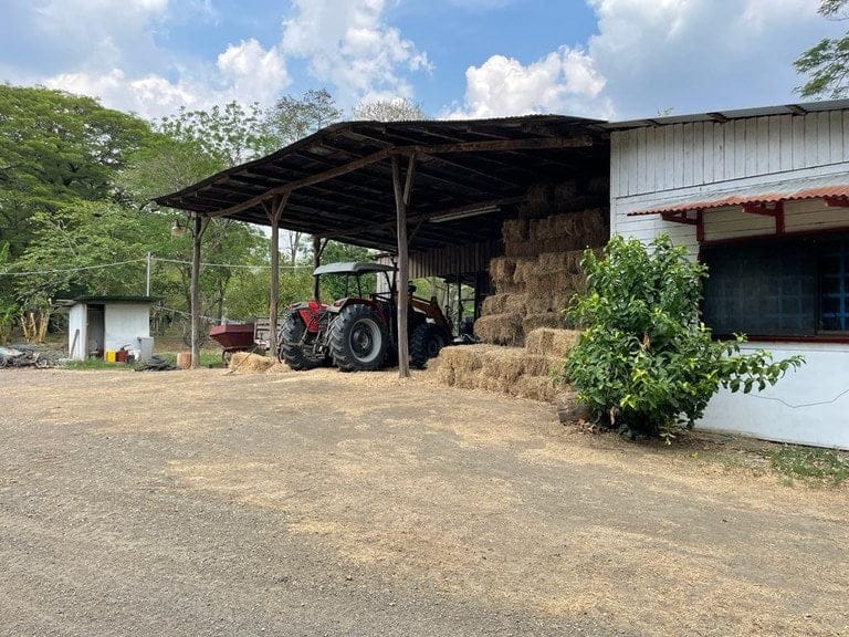 ll2100313_img-5_large-min