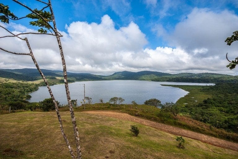 ll2100355_img-11_large-min