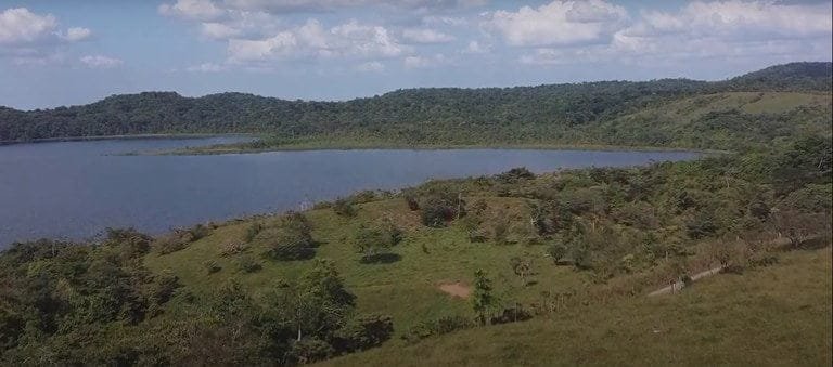 ll2100355_img-20_large-min