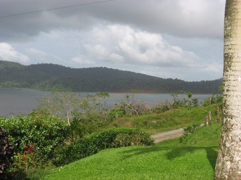 ll2100355_img-4_large-min