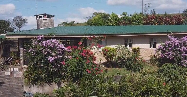 ll2100355_img-5_large-min