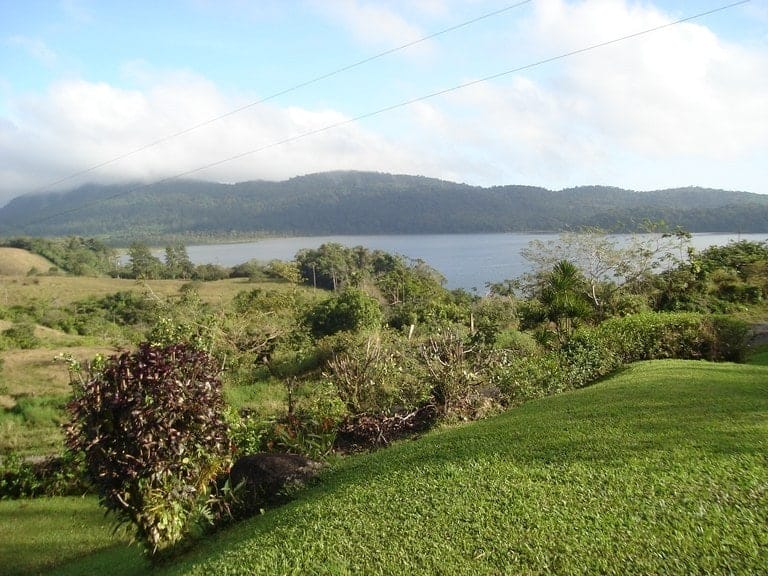 ll2100355_img-7_large-min