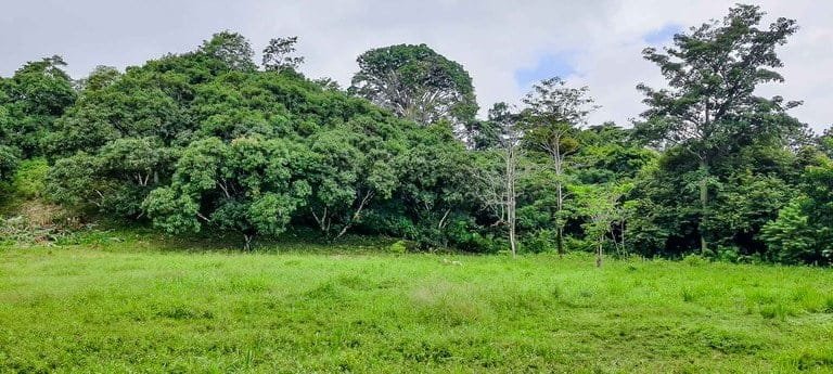 ll2100390_img-10_large-min