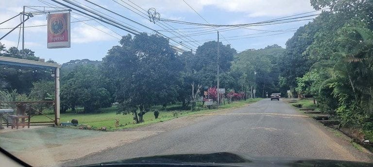 ll2100390_img-11_large-min