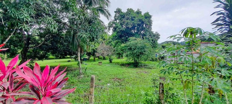 ll2100390_img-9_large-min