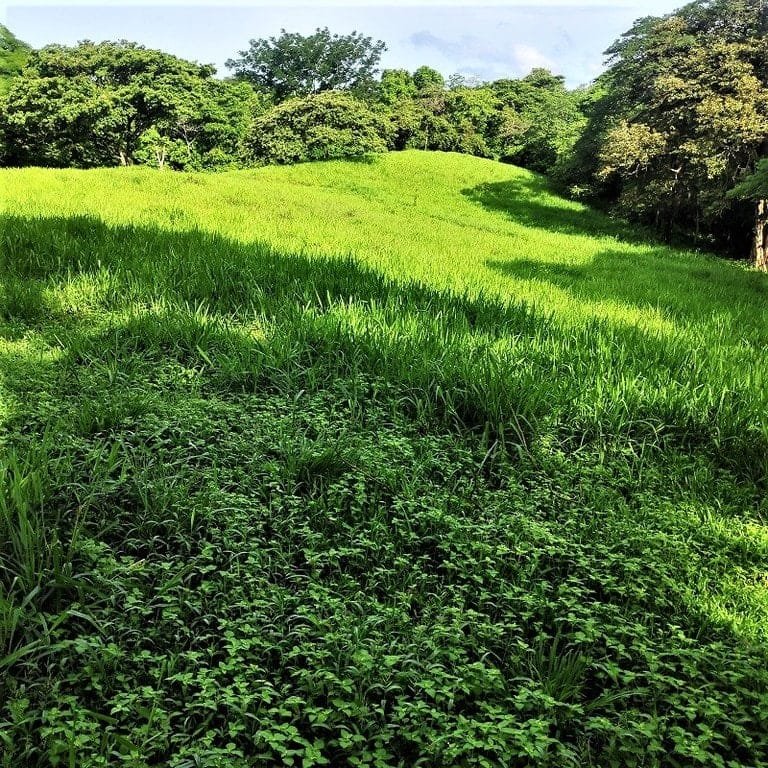 ll2200021_img-2_large-min