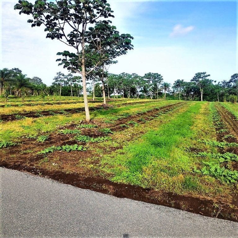 ll2200021_img-3_large-min