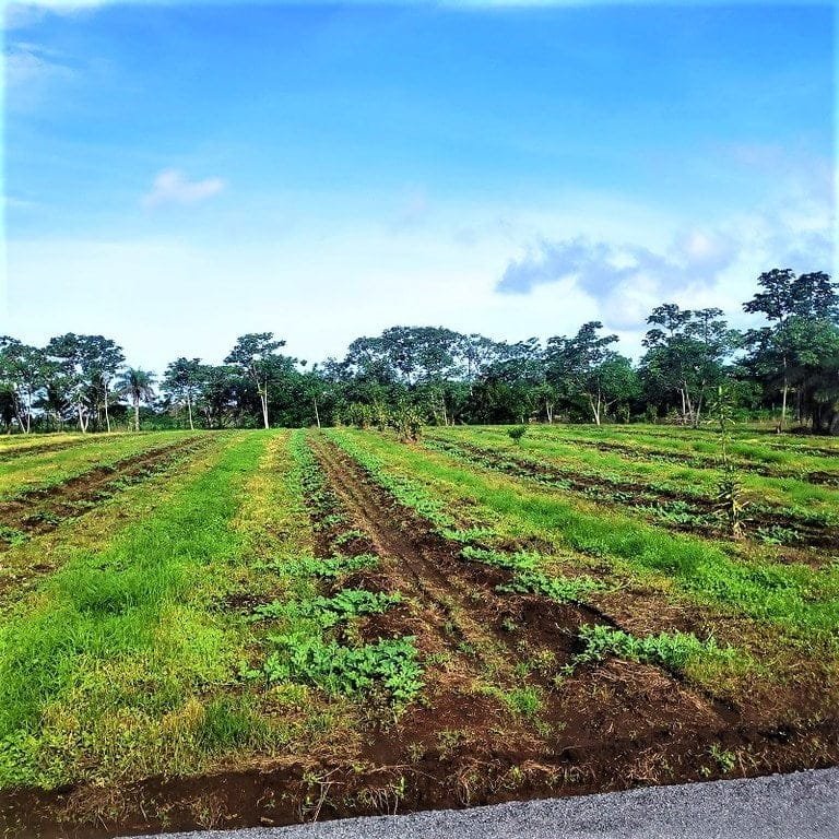 ll2200021_img-4_large-min