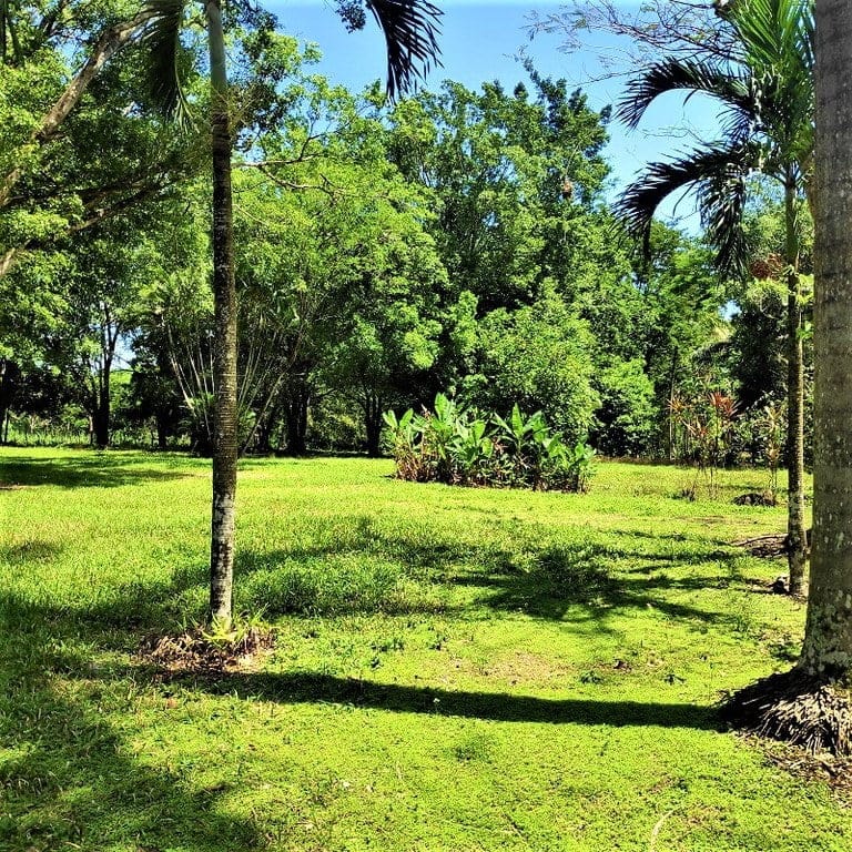 ll2200021_img-5_large-min