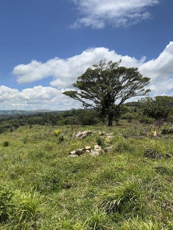 ll2200045_img-16_large-min