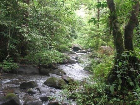 ll2200045_img_large-min