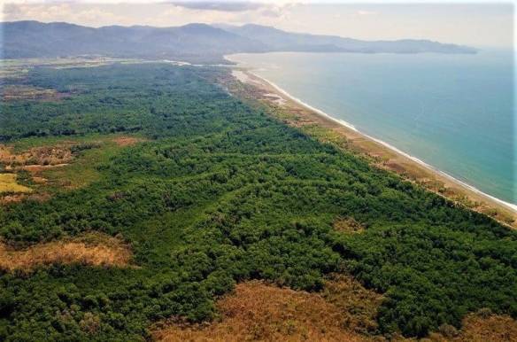 ll2200082_img-6_large-min