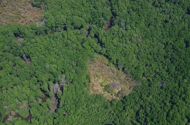 ll2200082_img-7_large-min