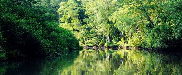 ll2200082_img-8_large-min