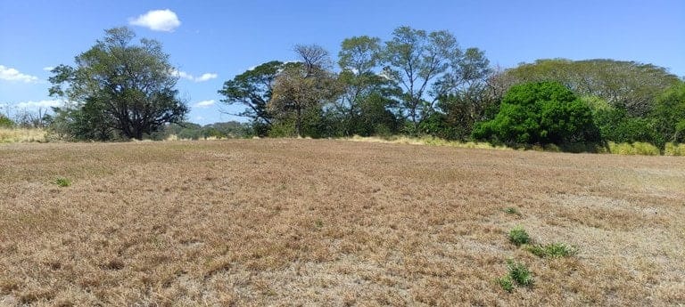 ll2200101_img-10_large-min