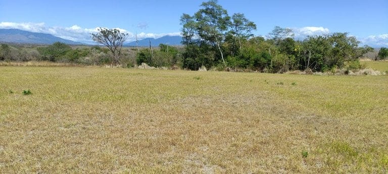 ll2200101_img-12_large-min