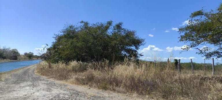 ll2200101_img-14_large-min