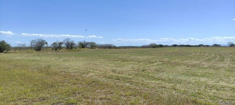 ll2200101_img-15_large-min