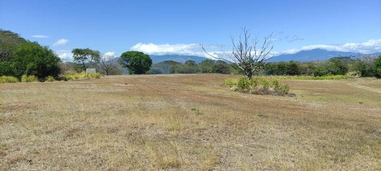 ll2200101_img-17_large-min