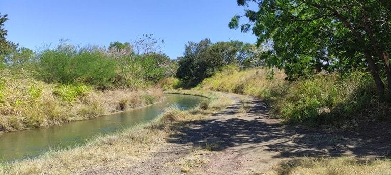 ll2200101_img-3_large-min