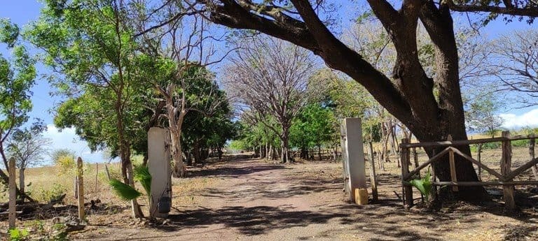 ll2200101_img_large-min