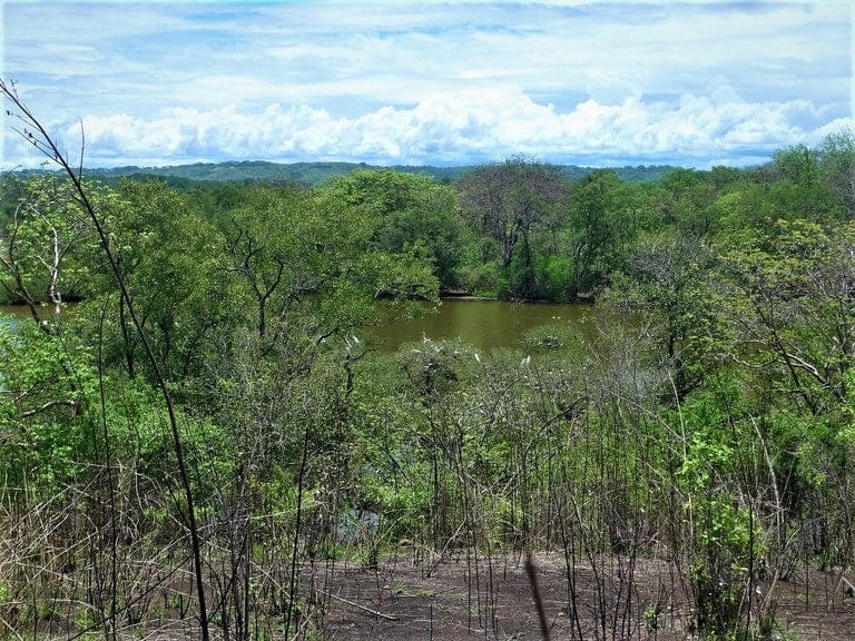 ll2200167_img-10_large-min