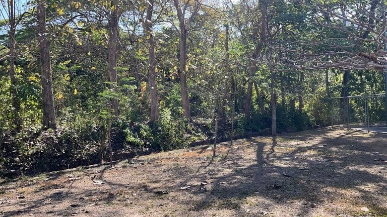 ll2200199_img-11_large-min