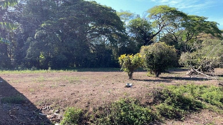 ll2200199_img-3_large-min