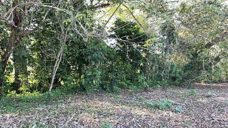 ll2200199_img-8_large-min