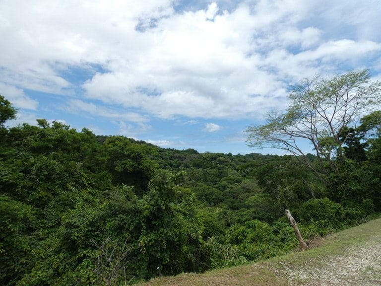 ll2200208_img-17_large-min