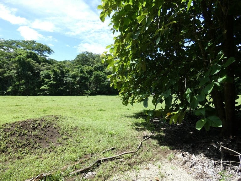 ll2200208_img-23_large-min