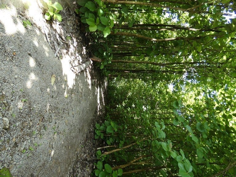 ll2200208_img-24_large-min