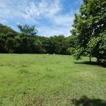 ll2200208_img-25_large-min