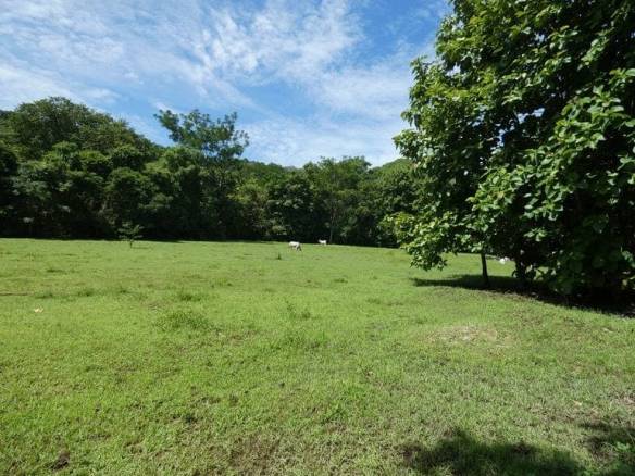 ll2200208_img-25_large-min