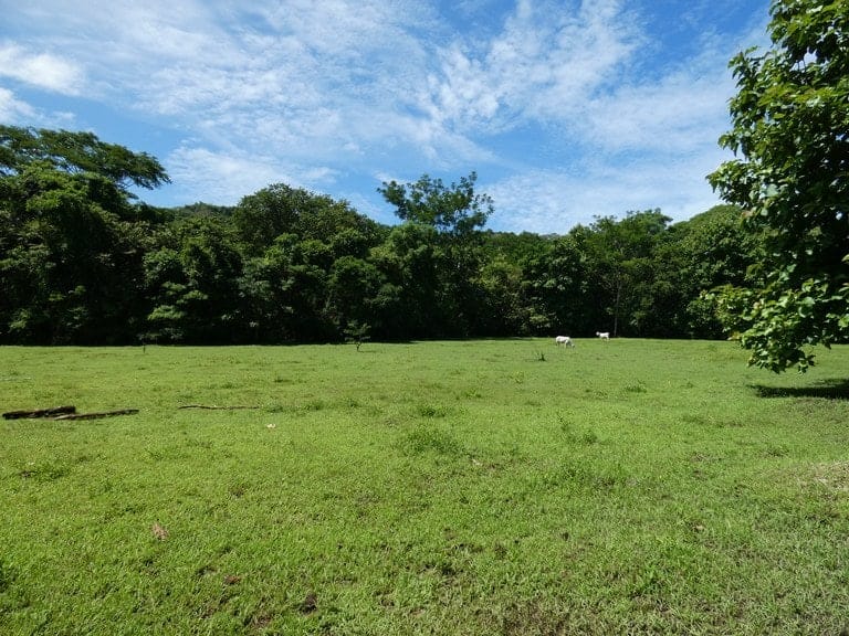 ll2200208_img-26_large-min