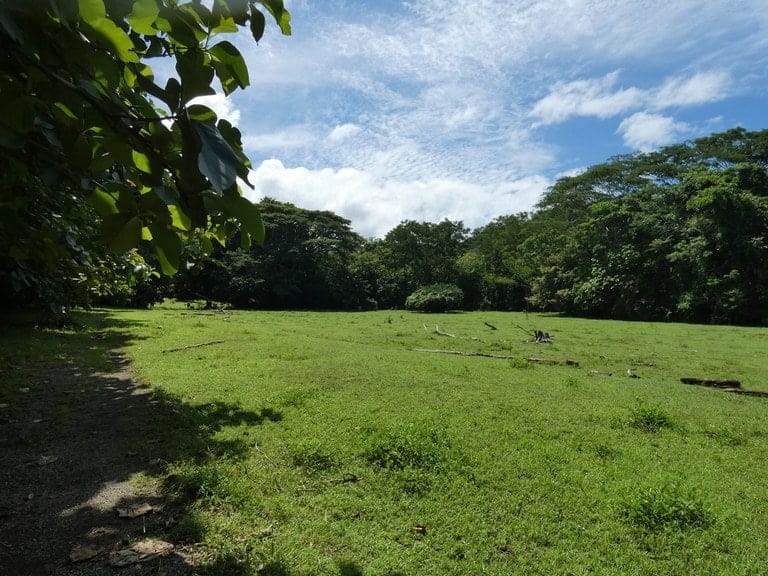 ll2200208_img-27_large-min