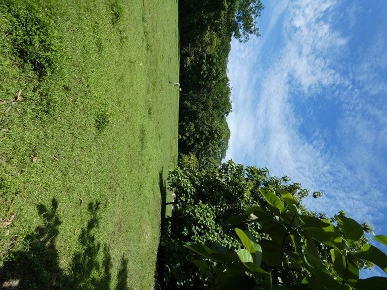 ll2200208_img-28_large-min