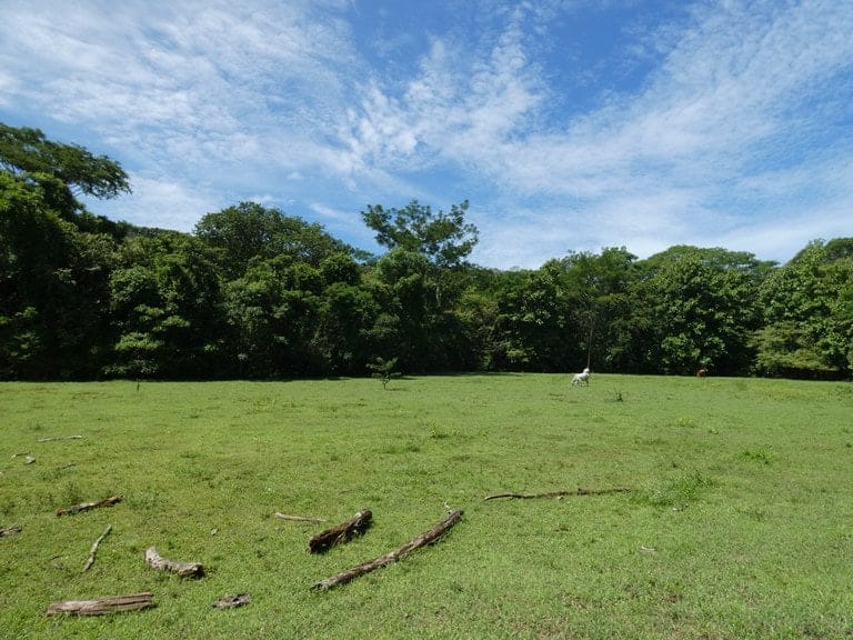 ll2200208_img-31_large-min