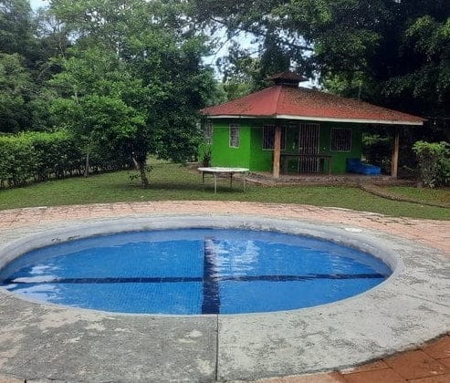 ll2200216_img-11_large-min