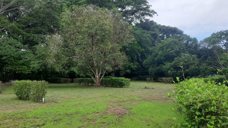 ll2200216_img-12_large-min