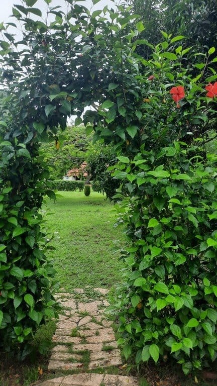 ll2200216_img-8_large-min