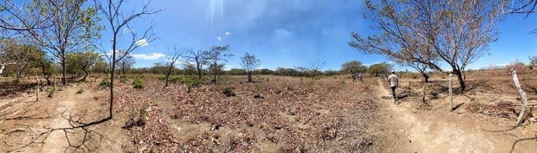 ll2200260_img-10_large-min