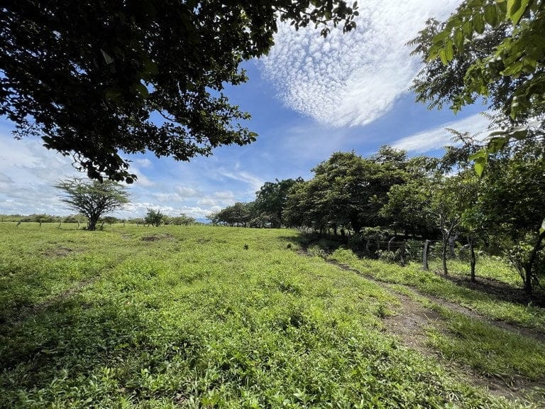 ll2200260_img-12_large-min