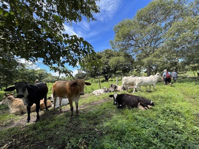 ll2200260_img-13_large-min